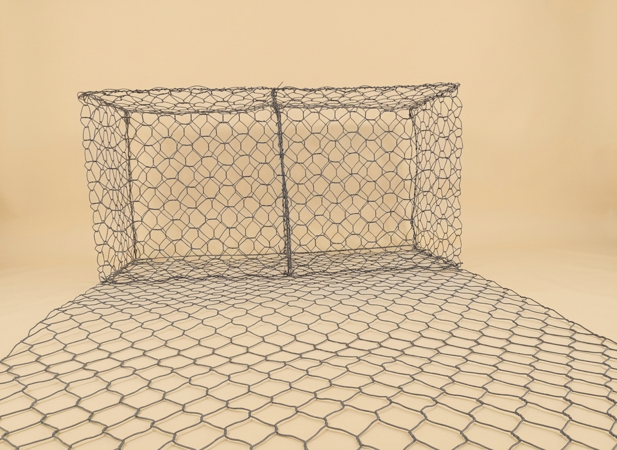 SSMESH System