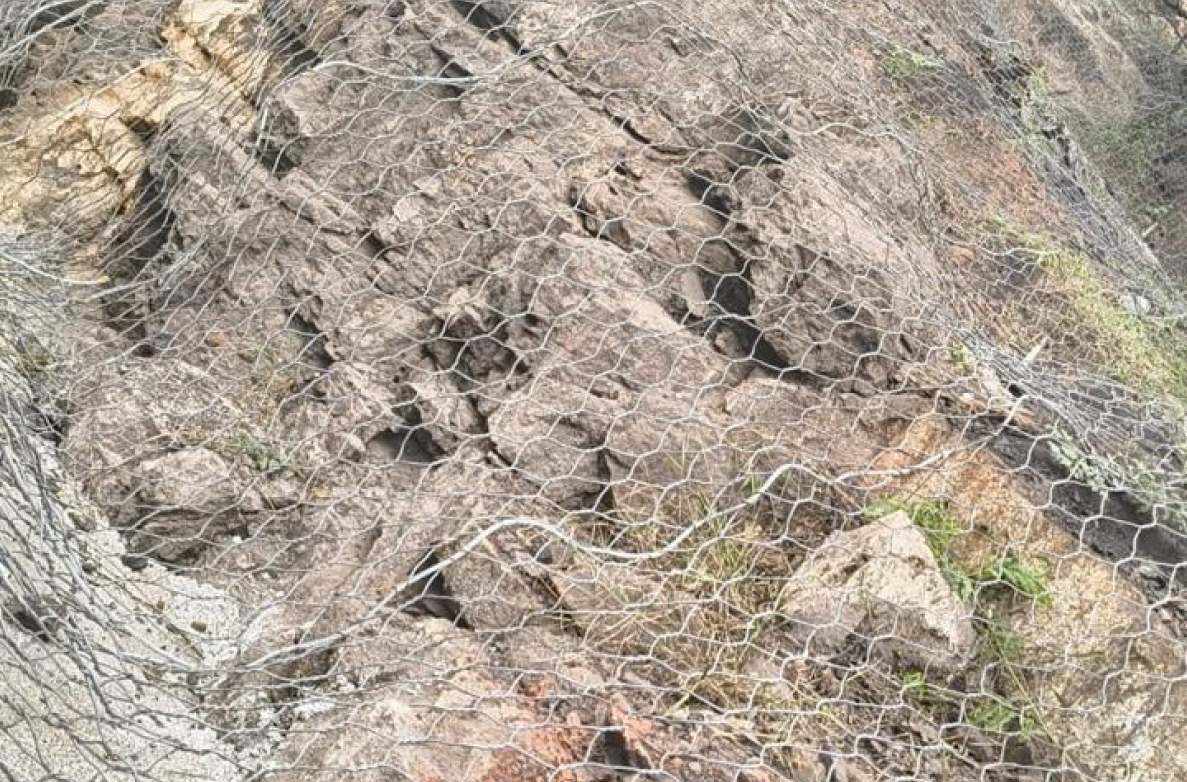 Frame 1 (12)
