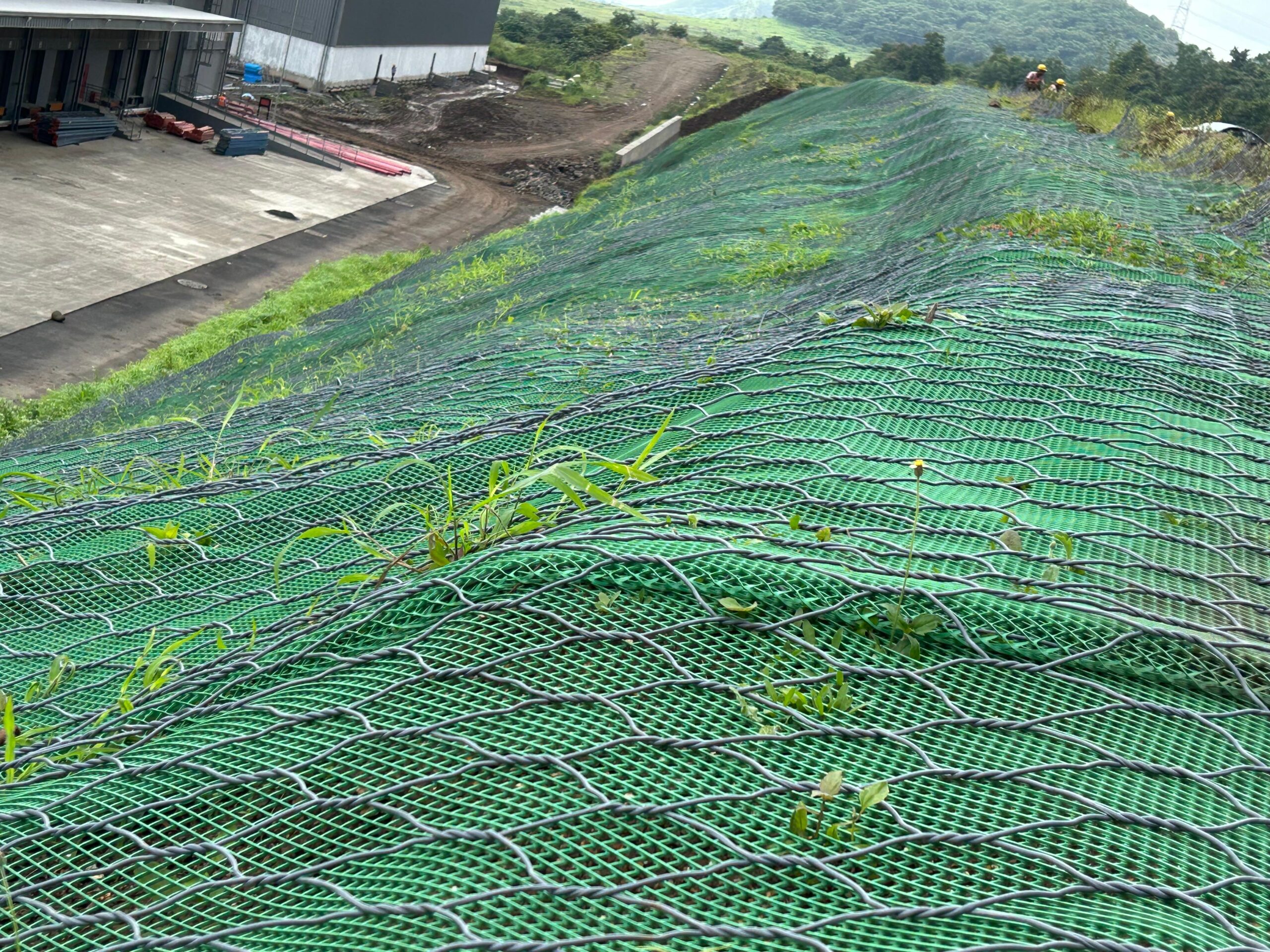 Securegrid Turfing Slope Stabilization 2
