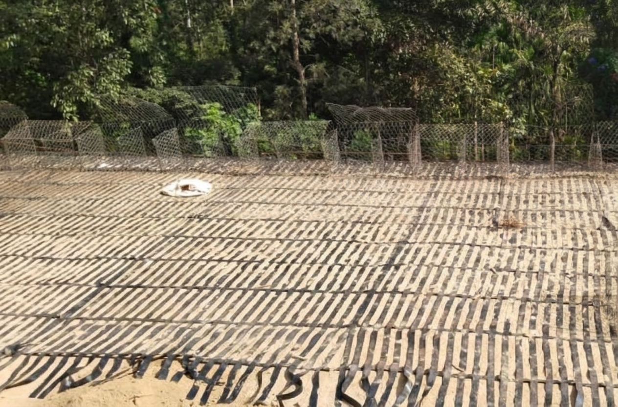 geogrid